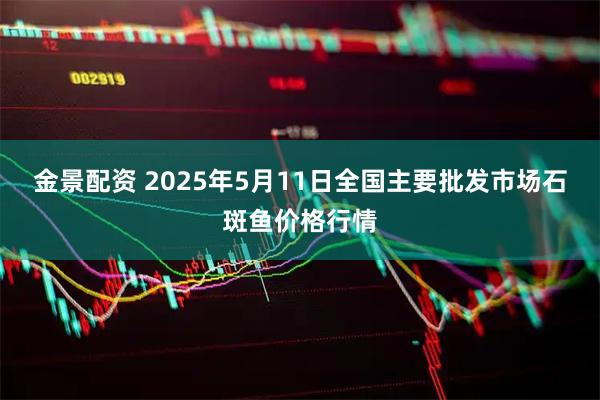 金景配资 2025年5月11日全国主要批发市场石斑鱼价格行情