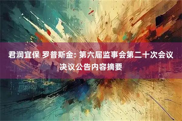 君润宜保 罗普斯金: 第六届监事会第二十次会议决议公告内容摘要