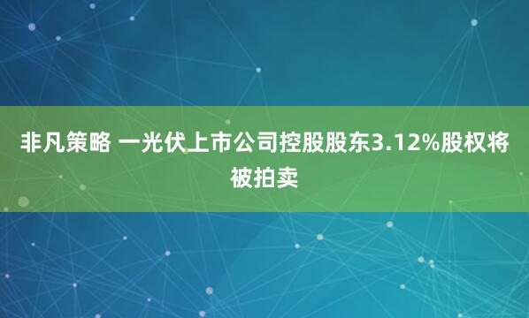 非凡策略 一光伏上市公司控股股东3.12%股权将被拍卖