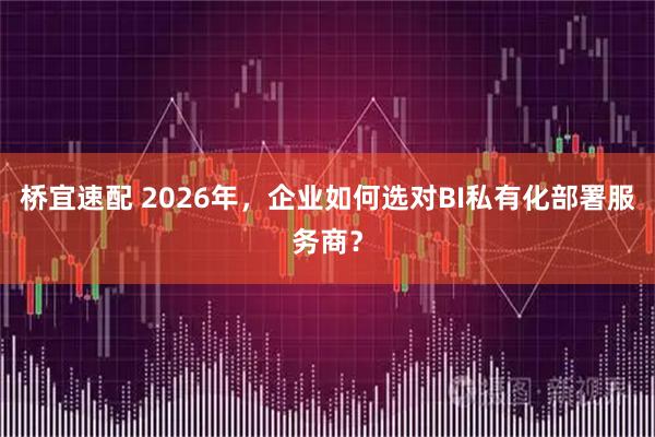 桥宜速配 2026年，企业如何选对BI私有化部署服务商？
